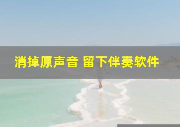 消掉原声音 留下伴奏软件